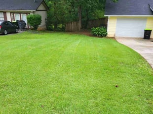 Alec W.'s grass cutting service result