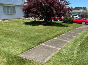 John N.'s grass maintenance service result