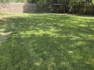 Krystal H.'s turf care service result