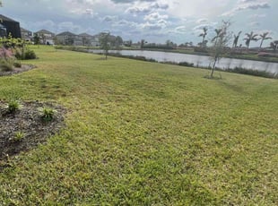 Maria B.'s lawn maintenance service result