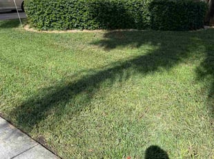 Natalie F.'s lawn maintenance service result