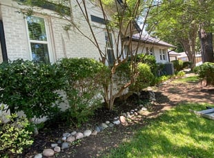 Ryan M.'s Bush Trimming service result
