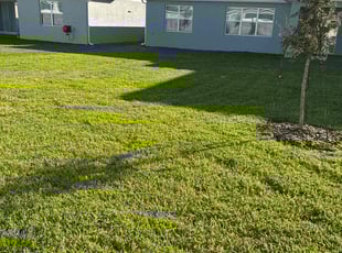 Arik W.'s lawn care services service result