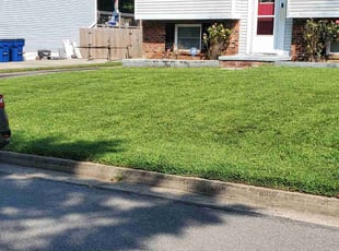 Tony D.'s lawn care service result