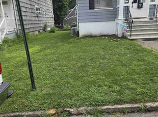 David R.'s grass maintenance service result