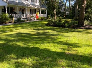 Brandon G.'s turf maintenance service result