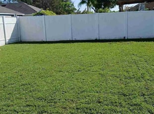 Tara M.'s lawn service service result