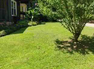 Brandon M.'s lawn care service result