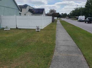 Virgil A.'s lawn care service result