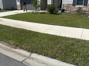 Shannon G.'s grass cutting service result