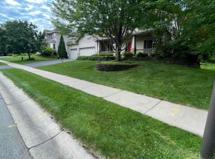 Susan V.'s lawn care service result