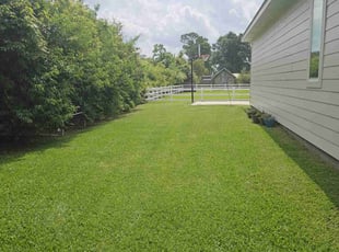 Andrew A.'s lawn care services service result