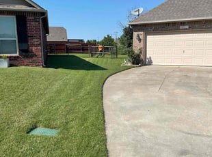 Allison O.'s turf care service result