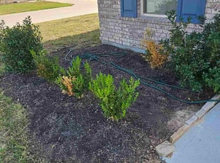 Keith W.'s Flower Bed Weeding service result