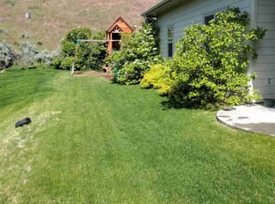 Millie B.'s lawn care service result