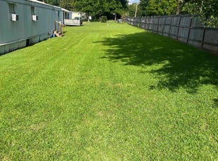 Gregory P.'s lawn care service result