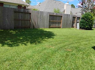 Jason G.'s turf care service result