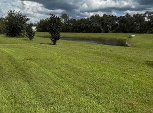 Beatrice B.'s grass maintenance service result