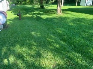 Charles F.'s grass cutting service result