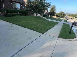 Luis H.'s turf maintenance service result