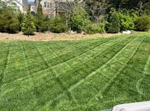 SARA E.'s lawn care services service result