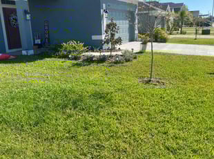 Steven B.'s turf maintenance service result