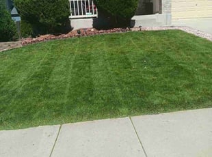 Jeff R.'s lawn service service result