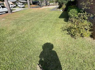 Lauren T.'s lawn care service result