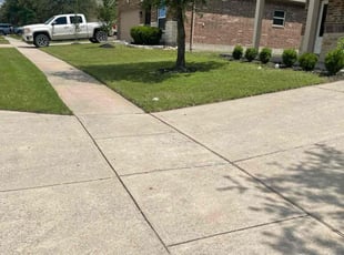 Dennis K.'s grass cutting service result