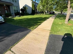William S.'s lawn care service result
