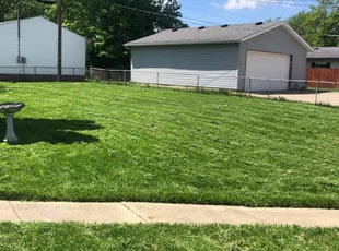 Melanie Z.'s lawn care services service result