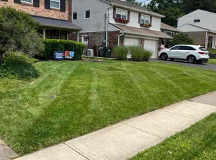 Kieu T.'s lawn care service result