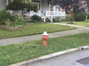 Anthony V.'s lawn care services service result