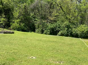 Patrick M.'s turf maintenance service result