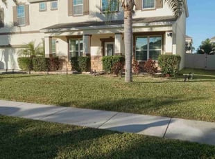 Brian M.'s grass cutting service result