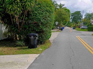 Mike S.'s turf care service result