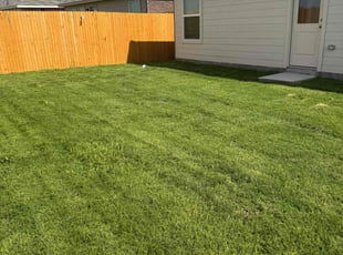 Lauren P.'s grass cutting service result