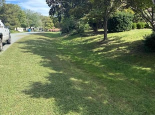 Amir P.'s turf maintenance service result