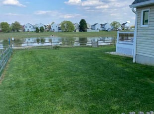 Anthony B.'s grass maintenance service result