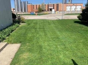 Ayana L.'s grass cutting service result