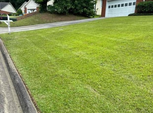 Amy W.'s lawn service service result