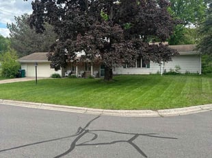 Ben C.'s turf care service result