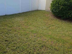 Jason E.'s lawn care services service result