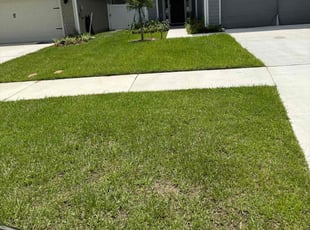 Rich J.'s lawn care services service result