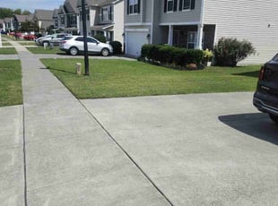 Annika W.'s turf care service result