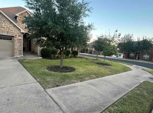 Marco R.'s lawn service service result