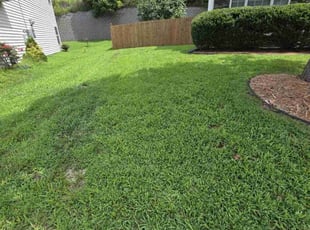 Chandler B.'s yard care service result