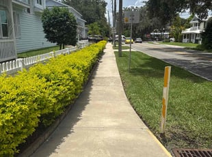 Dan W.'s grass maintenance service result