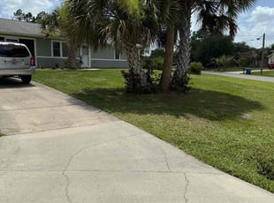 Dave D.'s lawn maintenance service result