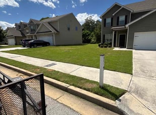 Debbie H.'s turf care service result